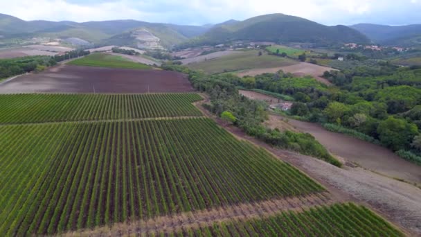 Paesaggio Meditativo Toscana Vino Valle Italia Caduta Rotazione Sinistra Drone — Video Stock