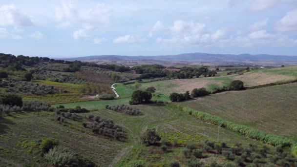 Paisaje Meditativo Toscana Valle Del Campo Del Vino Italia Caída — Vídeos de Stock