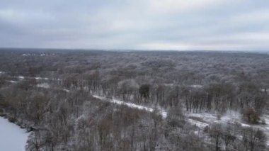 Kar ormanı, kar ormanları bulutlu gökyüzü Almanya. boom sağ İHA 4k drone görüntülerine kayıyor