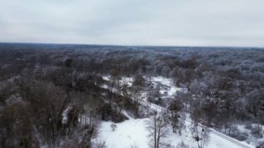 Kar ormanı, kar ormanları bulutlu gökyüzü Almanya. 4k insansız hava aracı görüntüsü.