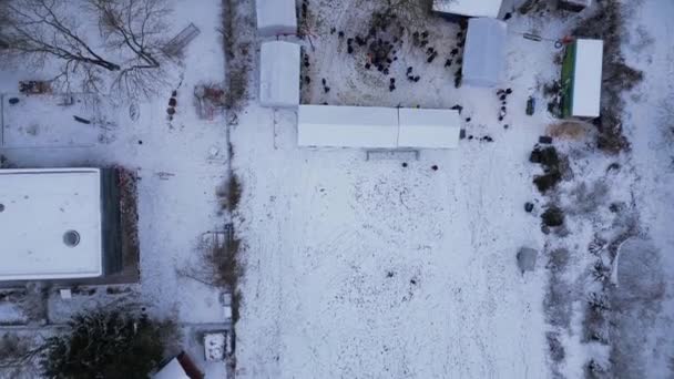 Julmarknad Winter Snow Village Molnigt Tyskland Vertikala Fåglar Ögonvy Drönare — Stockvideo