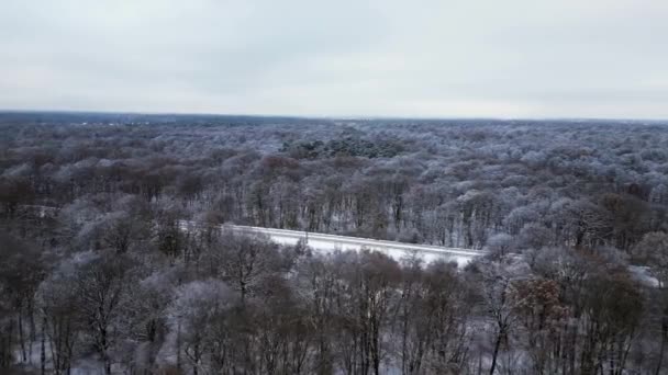 Zimní Led Les Les Zamračené Nebe Německo Přehled Panorama Drone — Stock video