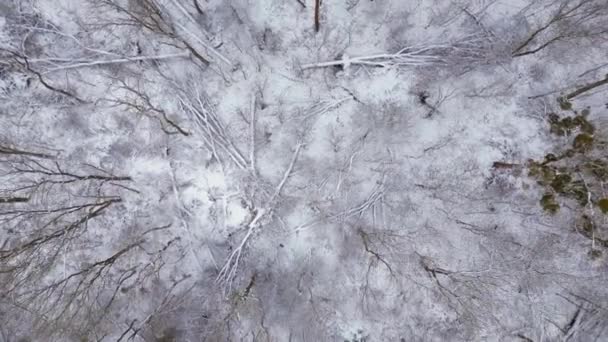 Winter Schnee Eis Wald Bewölkt Himmel Deutschland Vertikale Vogelperspektive Drohne — Stockvideo