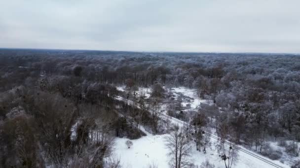 Winter Sneeuw Ijsbos Bewolkte Lucht Duitsland Vlucht Drone Drone Beelden — Stockvideo