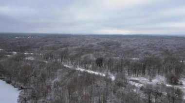 Soğuk kış mevsiminde kar yağan Alman buzlu ormanları. İHA. Panorama İnsansız Hava Aracı Yüksek kalite 4K görüntü