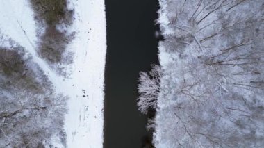 Kar nehri ormanı bulutlu gökyüzü Almanya. İHA. dikey kuş bakışı drone Yüksek kalite 4k görüntü
