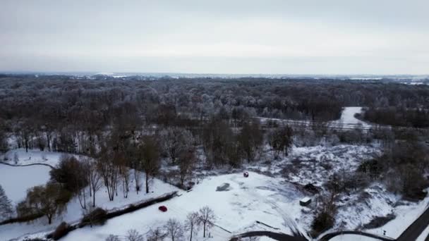 Foresta Ghiacciata Tedesca Inverno Freddo Con Neve Drone Sorvolo Del — Video Stock