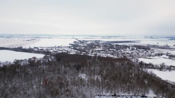 Zima Śnieg Rzeka Las Pochmurne Niebo Niemcy Dron Obrót Lewego — Wideo stockowe
