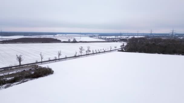 Német Jeges Erdő Hideg Télen Havazással Drón Panoráma Áttekintés Drón — Stock videók