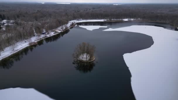 Zima Śnieg Jezioro Drewno Las Pochmurne Niebo Niemcy Dron Dron — Wideo stockowe
