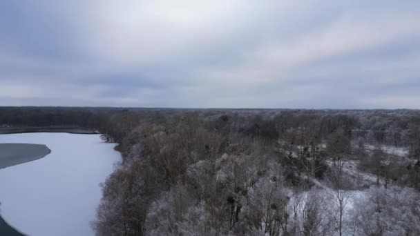 Winter Schnee Eis See Wald Bewölkt Himmel Deutschland Drohnen Fliegen — Stockvideo