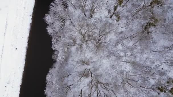 Winter Sneeuw Rivier Bos Bewolkte Lucht Duitsland Een Drone Verticale — Stockvideo