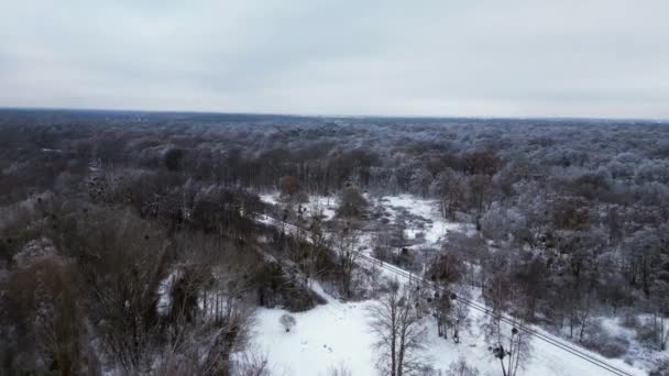 Bosque Helado Alemán Invierno Frío Con Nieve Drone Sobrevuelo Sobrevuelo — Vídeo de stock