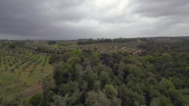 Tuscany İtalya 'da, zeytinliğin üzerinde bulutlu bir gökyüzü. boom sol drone 'a kayıyor. Yüksek kalite 4k görüntü