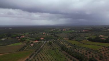 Tuscany İtalya 'da, zeytinliğin üzerinde bulutlu bir gökyüzü. İHA. Sol İHA 'ya döndürme Yüksek kalite 4k görüntü