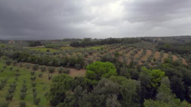 Tuscany İtalya 'da, zeytinliğin üzerinde bulutlu bir gökyüzü. Panorama insansız hava aracı. Yüksek kalite 4k görüntü