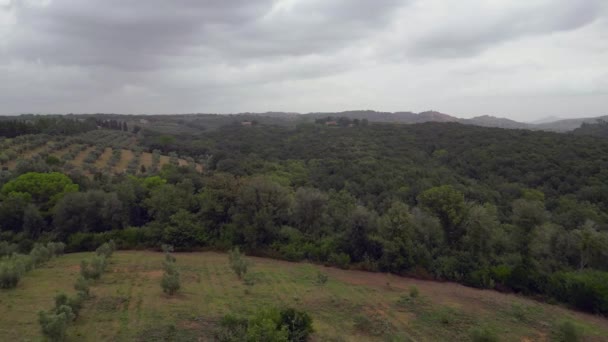 Chmurne Niebo Nad Gajem Oliwnym Toskania Włochy Nad Dronem Przelotowym — Wideo stockowe