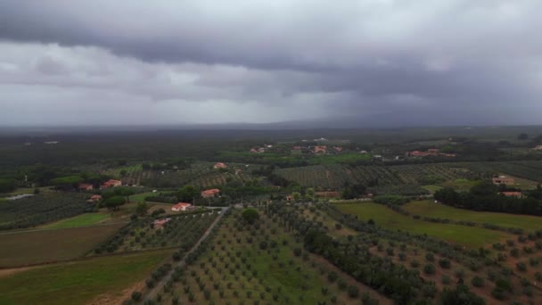 Molnig Himmel Över Olivlundar Toscana Italien Drönaren Rotation Till Vänster — Stockvideo