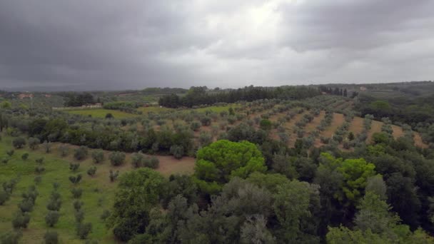 Облачное Небо Над Оливковой Рощей Тоскана Италия Панорамный Обзор Беспилотника — стоковое видео