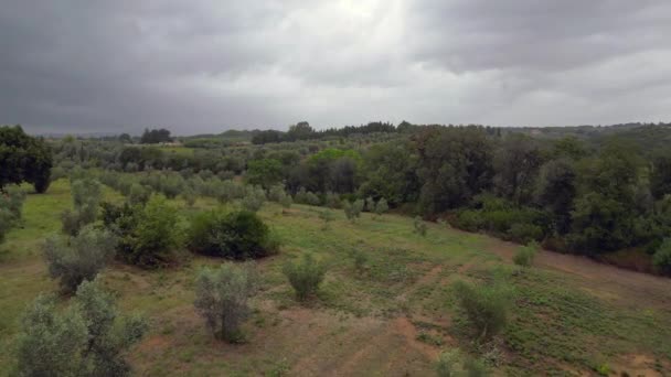 Céu Nublado Sobre Olival Toscana Itália Drone Sobrevoador Imagens Alta — Vídeo de Stock