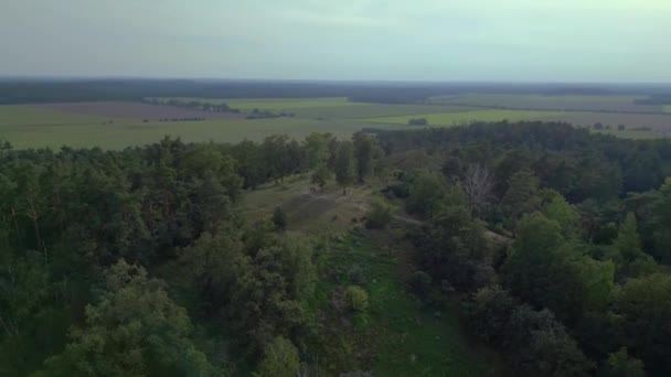Lilienthal Monument Flygende Bakke Sommer Tyskland Sirkel Droneopptak Filmopptak – stockvideo