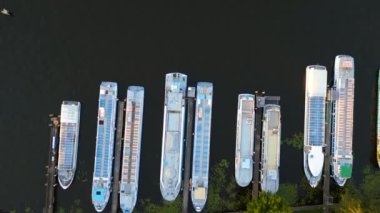 Berlin 'deki Treptower Park Kulesi yaz günü. dikey kuş bakışı İHA 4k sinematik görüntüler 