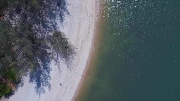 Island Langkawi Tanjung Rhu Sandstrand Vertikala Fåglar Ögonvy Drönare Högkvalitativ — Stockvideo