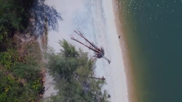 Pulau Langkawi Tanjung Rhu Pasir Pantai Burung Vertikal Pandangan Mata — Stok Video