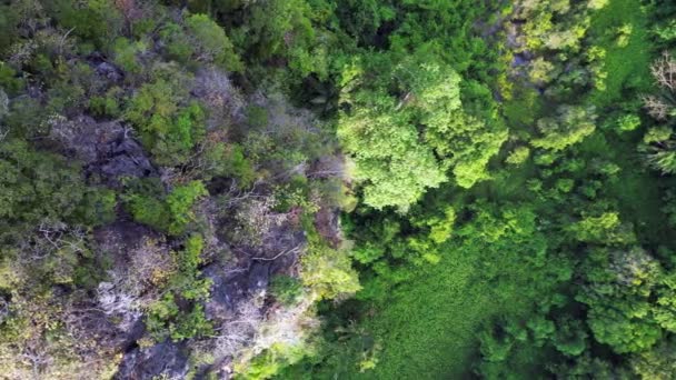 Paisagem Penhasco Montanhas Rocha Floresta Krabi Aves Verticais Visão Olho — Vídeo de Stock