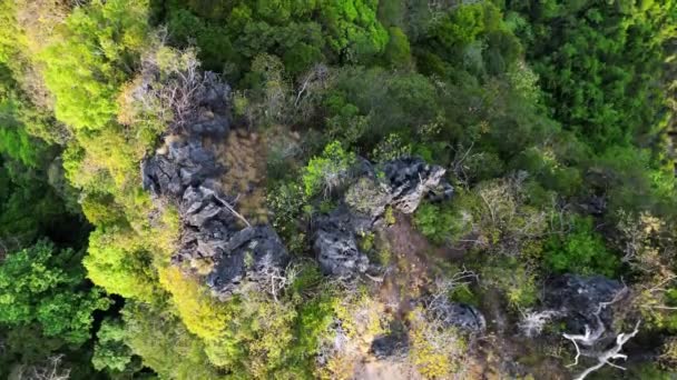 Landschaft Klippen Berge Felsenwald Krabi Drohne Aufklappen Hochwertiges Filmmaterial — Stockvideo