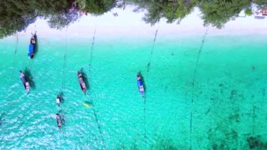 Kumsalda turkuaz suda uzun kuyruklu tekneler. dikey kuşların görüş dronu. Yüksek kalite 4k görüntü