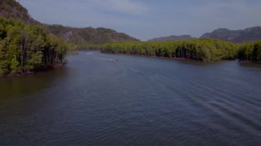 orman mangrovu nehir tepeleri adası Malezya. Hız rampası hiperlapse hareket hızı zaman aşımı. Yüksek kalite 4k görüntü