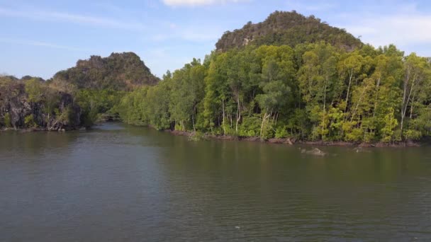 Dschungel Mangroven River Hügel Insel Malaysia Sinkende Drohne Hochwertiges Filmmaterial — Stockvideo