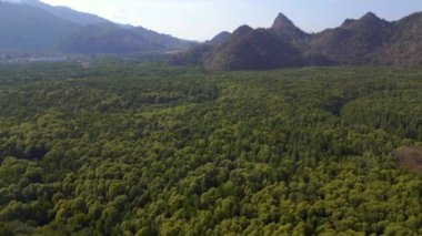 orman mangrovu nehir tepeleri adası Malezya. Hız rampası hiperlapse hareket hızı zaman aşımı. Yüksek kalite 4k görüntü