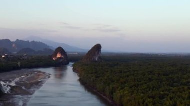 Akşam mangrov nehri Krabi Tayland. Geri geri uçun. Yüksek kalite 4k görüntü