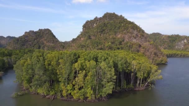 Orman Mangrovu Nehir Tepeleri Adası Malezya Iniyor Yüksek Kalite Görüntü — Stok video