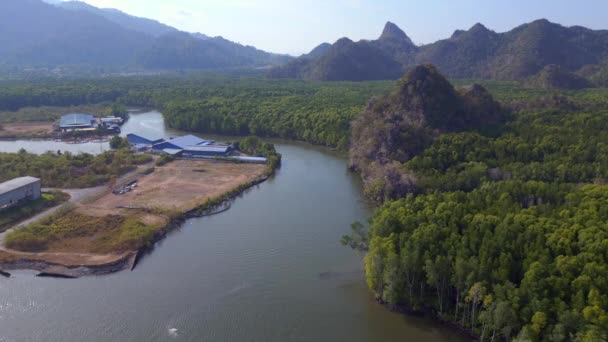 Orman Mangrovu Nehir Tepeleri Adası Malezya Panorama Insansız Hava Aracı — Stok video