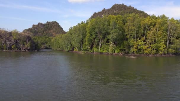 ジャングルマングローブ川は 島マレーシアを丘 フライリバースドローン 高品質の4K映像 — ストック動画