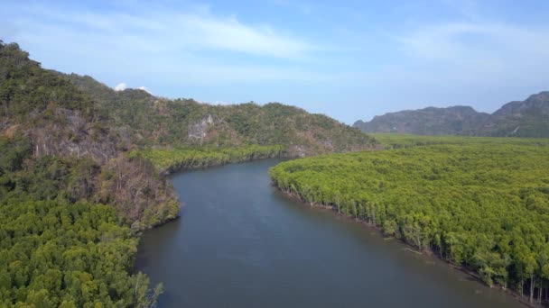 Djungel Mangrove River Hills Island Malaysia Luta Ner Drönaren Högkvalitativ — Stockvideo