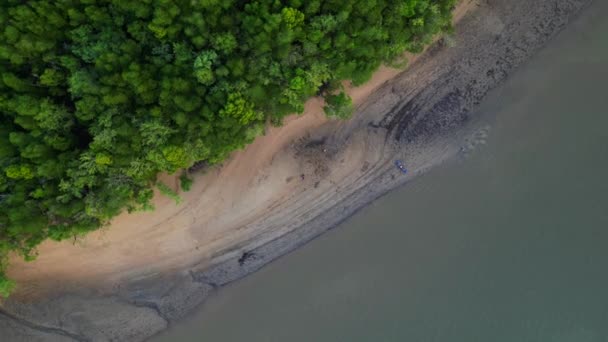Noche Manglar Río Krabi Tailandia Vertical Birds Eye View Drone — Vídeo de stock