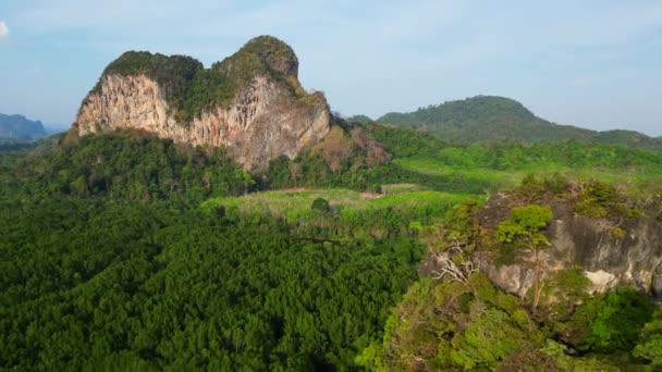 Gunung Lansekap Tebing Batu Hutan Krabi Menerbangkan Pesawat Tanpa Awak — Stok Video