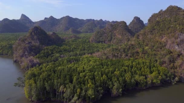Orman Mangrovu Nehir Tepeleri Adası Malezya Iniyor Yüksek Kalite Görüntü — Stok video