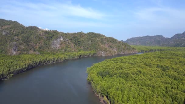 Orman Mangrovu Nehir Tepeleri Adası Malezya Hız Rampası Hiperlapse Hareket — Stok video