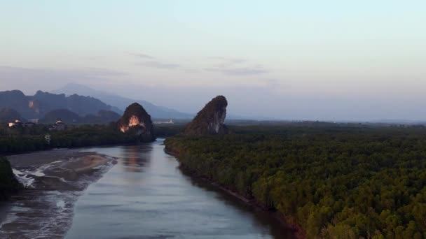 Kväll Mangrove Floden Krabi Thailand Nedstigande Drönare Högkvalitativ Film — Stockvideo