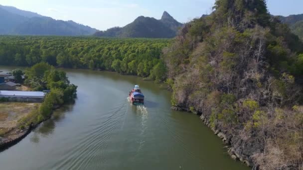 Djungel Mangrove River Hills Island Malaysia Flyg Omvänd Drönare Högkvalitativ — Stockvideo