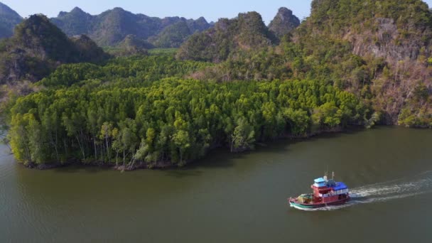 ジャングルマングローブ川は 島マレーシアを丘 ドローン降下 高品質の4K映像 — ストック動画
