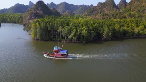 ジャングルマングローブ川は 島マレーシアを丘 パノラマの概要ドローン 高品質の4K映像 — ストック動画