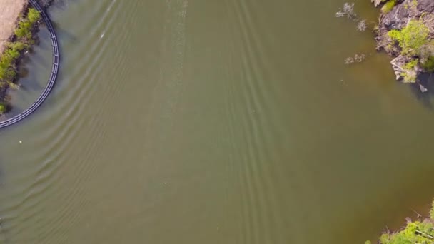 Giungla Mangrovia Fiume Colline Isola Malesia Inclinare Drone Filmati Alta — Video Stock