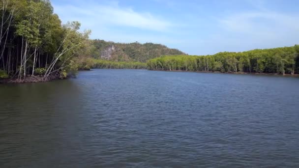 ジャングルマングローブ川は 島マレーシアを丘 速度ランプ ハイパーラプス モーションラプス タイムラプス 高品質の4K映像 — ストック動画