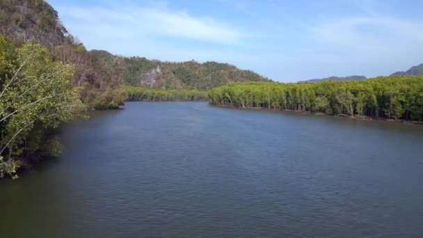 Orman Mangrovu Nehir Tepeleri Adası Malezya Üstten Kumandalı Hava Aracı — Stok video